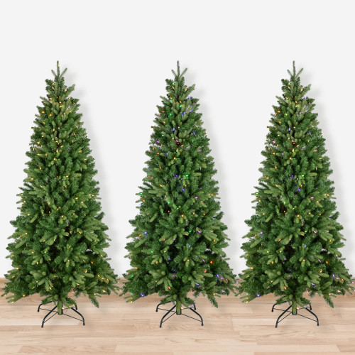 Pre-Lit Slim Washington Frasier Fir Christmas Tree - 6.5' - Dual Color LED Lights - IMAGE 1