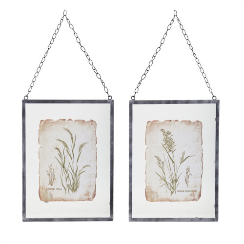 Reed Plants Framed Wall Art - 12.5" x 16" - Set of 2 - IMAGE 1