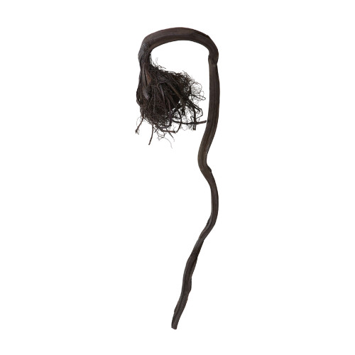 Curly Kelp Root Decoration - 28” - Black - IMAGE 1