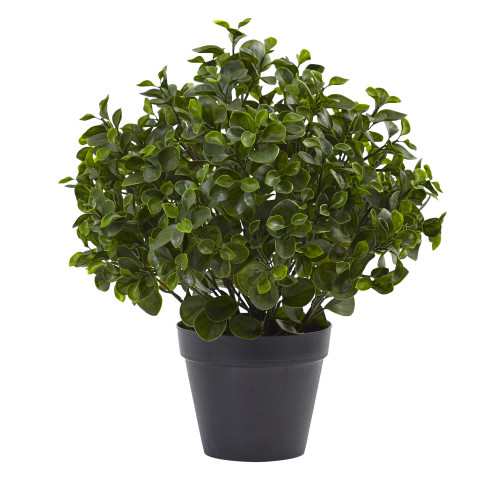 2' Artificial Peperomia Outdoor Plant in Black Pot - IMAGE 1