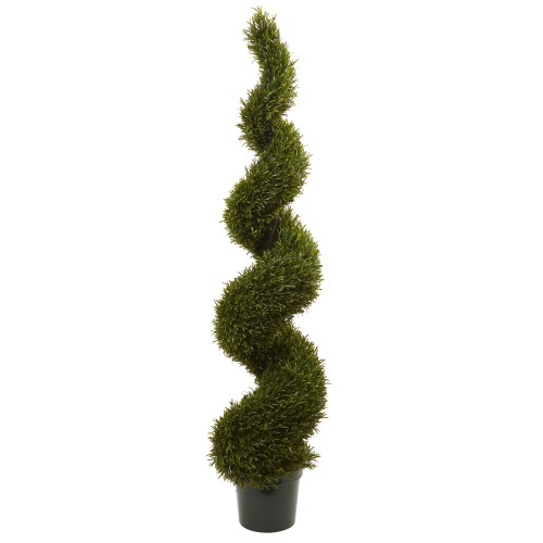 6' Rosemary Spiral Outdoor Tree with Green Pot - IMAGE 1