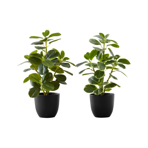 Artificial Ficus Elastica Table Plant in Black Pot - 14" - 2 Piece - IMAGE 1