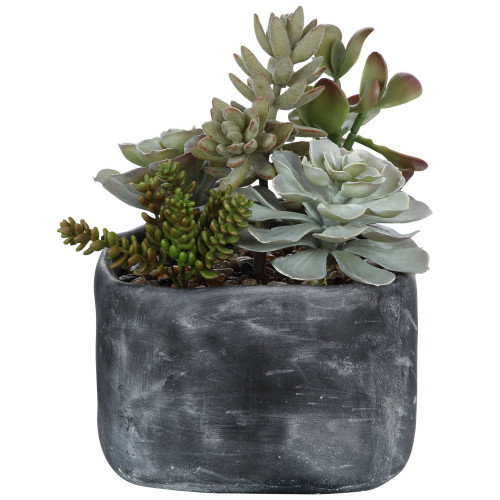 Mix of Artificial Desert Succulents - 11" - Green - IMAGE 1