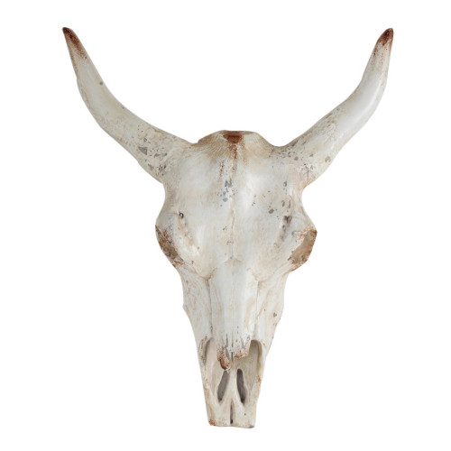 Steer Skull Head Wall Sculpture - 18.5" - White - IMAGE 1
