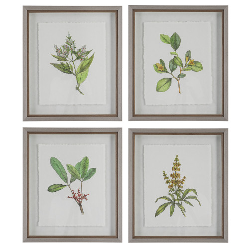 Wild Floral Study Framed Wall Art - 22" x 19" - Set of 4 - IMAGE 1