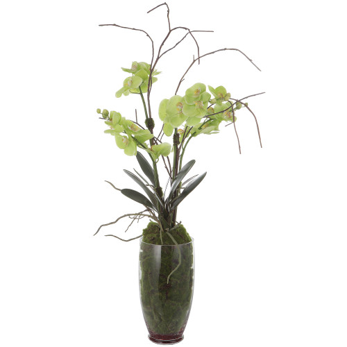 Tropical Orchid Artificial Floral Arrangements with Glass Vase - 38" - Green - IMAGE 1