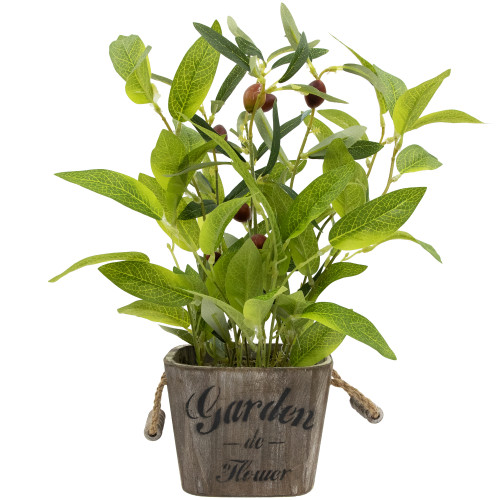 Artificial Olive Plant in Rustic Pot with Handles - 14" - IMAGE 1