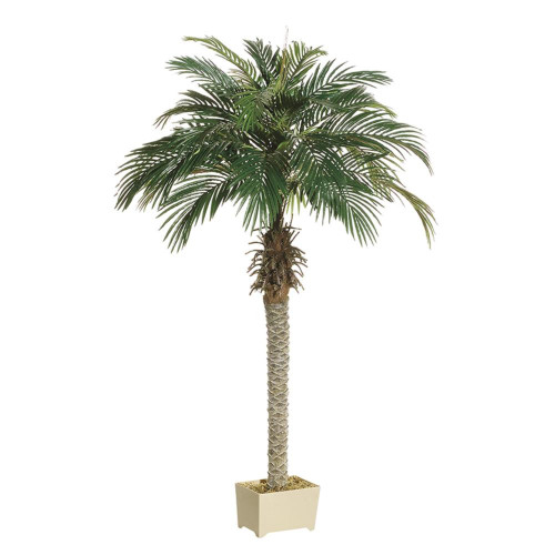 Potted Artificial Phoenix Palm Trees - 6' - Set of 2 - IMAGE 1