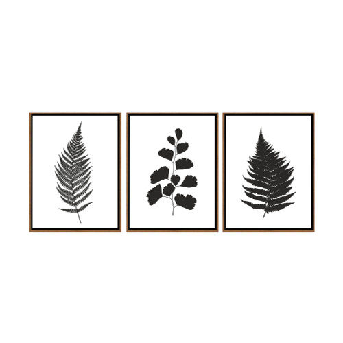 Botanical Ferns Framed Canvas Wall Art - 16" x 24" - Set of 3 - Brown and Black - IMAGE 1