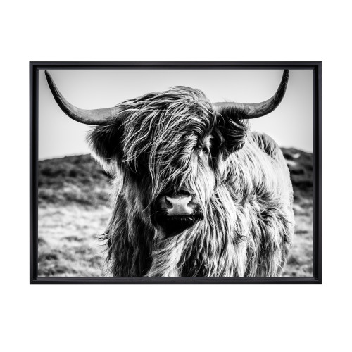 Highland Cow Framed Canvas Wall Art - 24" x 32" - Black - IMAGE 1