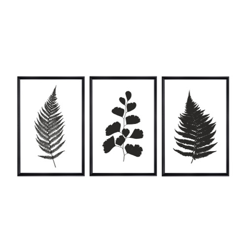 Botanical Ferns Framed Canvas Wall Art - 12" x 18" - Black - Set of 3 - IMAGE 1