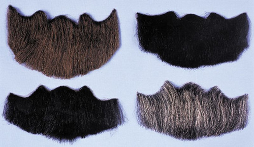 6" Black 5 Point Goatee Men Adult Halloween Beard Costume Accessory - One Size - IMAGE 1