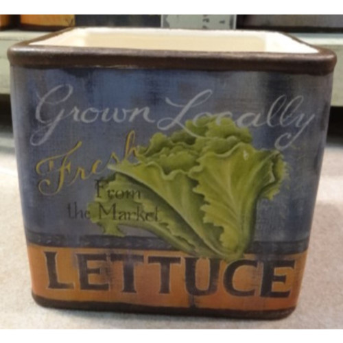13.25" Gray and Green Lettuce Storage Containers - IMAGE 1