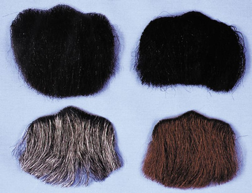 4" Black 3 Point Goatee Men Adult Halloween Beard Costume Accessory - One Size - IMAGE 1