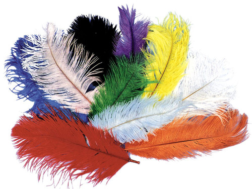 Black Ostrich Feather Unisex Adult Halloween Costume Accessory - One Size - IMAGE 1