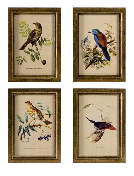 Set of 4 Vibrant Wooden Bird Plaques with Gold Frames - IMAGE 1