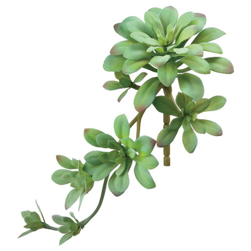 Aeonium Succulent Artificial Pick Spray - 11.75" - Green - IMAGE 1