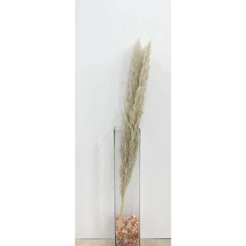 Tall Pampas Artificial Plant - 39.5" - Set of 5 - IMAGE 1