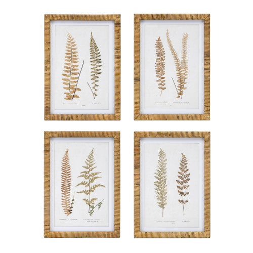 Fern Prints Framed Wall Arts - 17.75" x 17.75" - Set of 4 - IMAGE 1