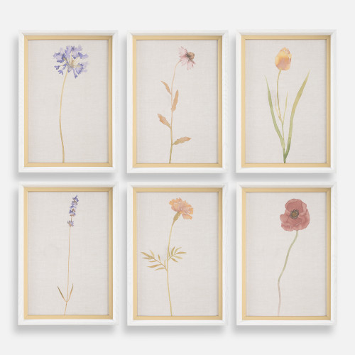 Wild Floral Framed Wall Art - 20" x 14" - Set of 6 - IMAGE 1