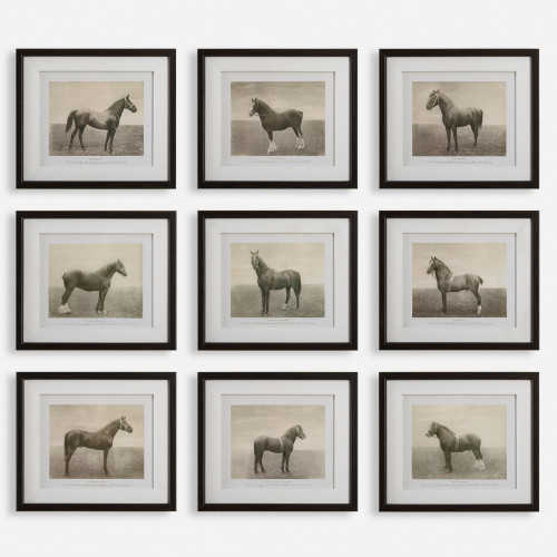 Antiqued Sketches Of Horses Framed Wall Art - 15.75" x 13.75" - Set of 9 - IMAGE 1