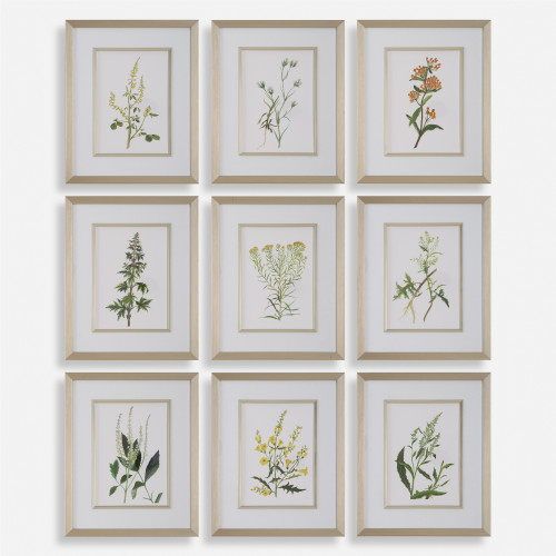 Botanical Flowers Framed Wall Art - 17.25" x 21.25" - Set of 9 - IMAGE 1