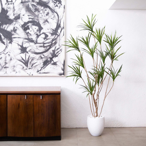 Artificial Dracaena Potted Tree - 6' - Green - IMAGE 1