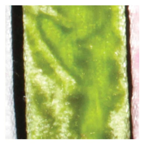 Lime Green Crushed Velvet Craft Ribbon 0.5" x 22 Yards - IMAGE 1