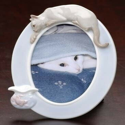 Club Pack of 12 White Siamese Cat and Fish Oval Photo Frames 8" - IMAGE 1