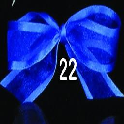 Royal Blue Solid Edged Craft Ribbon 0.5" x 30 Yards - IMAGE 1