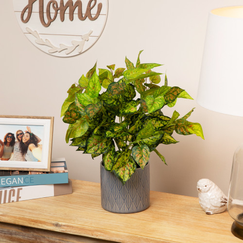 16" Green and Yellow Artificial Dieffenbachia Floral Bush - IMAGE 1