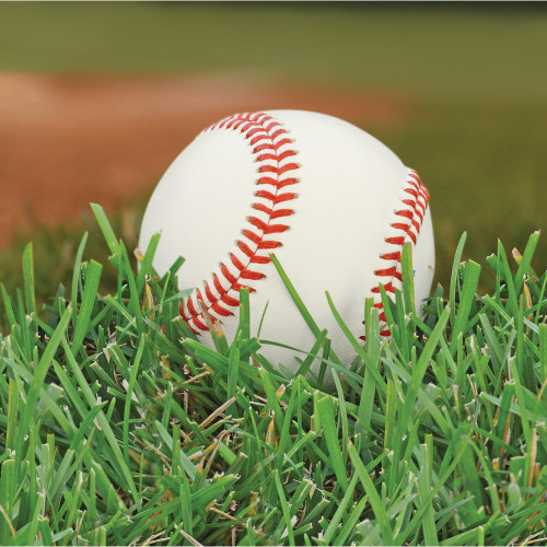 2-Ply Baseball Disposable Luncheon Napkins - 6.5" - Club Pack of 192 - IMAGE 1