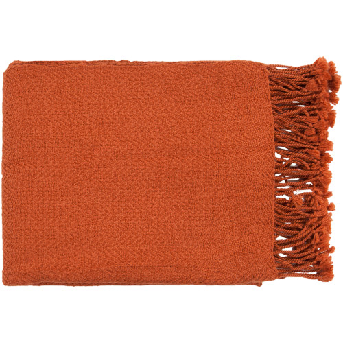 50" x 60" Sweet Indulgence Pumpkin Orange Throw Blanket - IMAGE 1