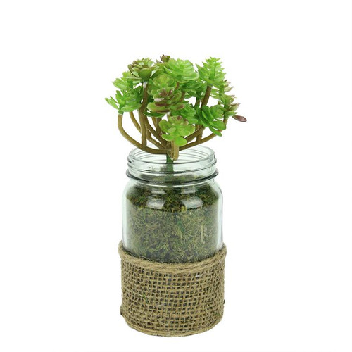 7.25" Green and Brown Potted Artificial Succulent Plant in Glass Jar with Burlap Grip - IMAGE 1