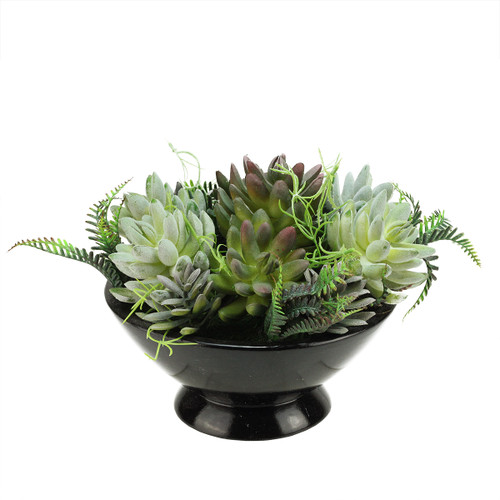 10" Green and Black Potted Artificial Mixed Succulent Plant - IMAGE 1