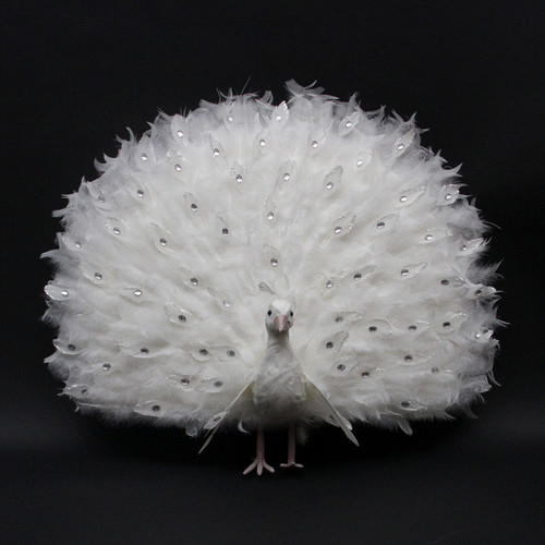 27" White Regal Peacock Bird with Open Tail Feathers Christmas Decoration - IMAGE 1
