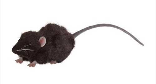 Handcrafted Plush Sitting Mouse Stuffed Animal Figures - 4.75" - Black - Set of 6 - IMAGE 1