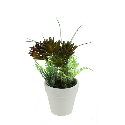 7.5" Artificial Green and Red Succulent and Fern Spring Decoration in a Round White Pot - IMAGE 1