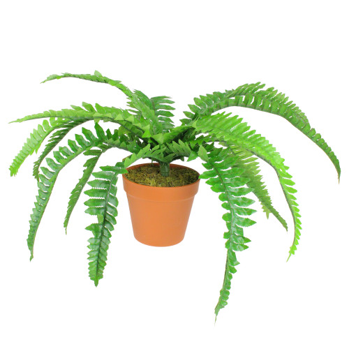 15.75" Potted Artificial Long Green Boston Fern Plant - IMAGE 1