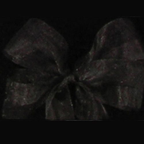 Black and Silver Jewel Organdy Craft Ribbon 1" x 110 Yards - IMAGE 1