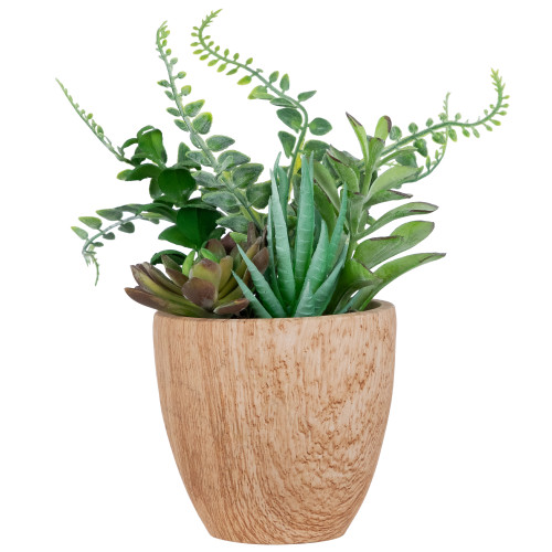 12" Potted Brown and Green Artificial Mixed Succulents and Fern Arrangement - IMAGE 1