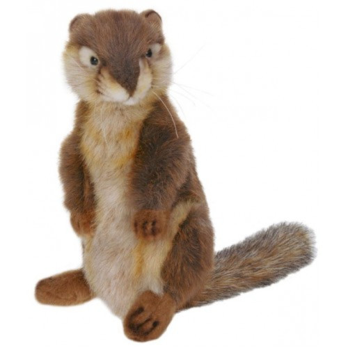 Plush Handcrafted Ground Squirrel Stuffed Animals - 8.5" - Set of 4 - IMAGE 1