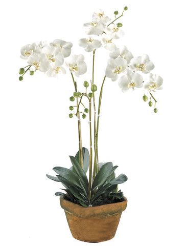 36" Potted Artificial White Phalaenopsis Orchid Plant Silk Flower Arrangement - IMAGE 1
