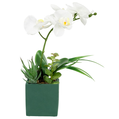 Artificial Orchid and Succulents Plant - 12" - White - IMAGE 1