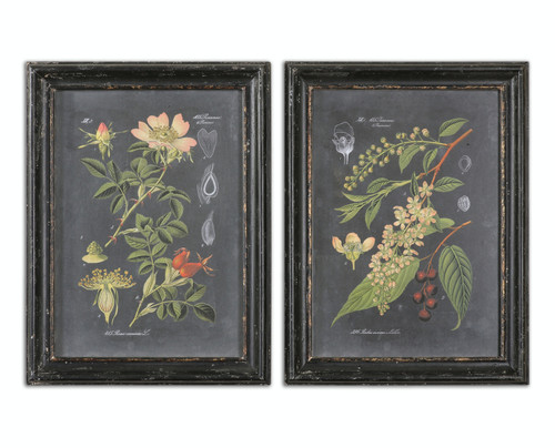 Set of 2 Midnight Floral Botanicals Wall Art Prints with Distressed Wooden Frames - IMAGE 1