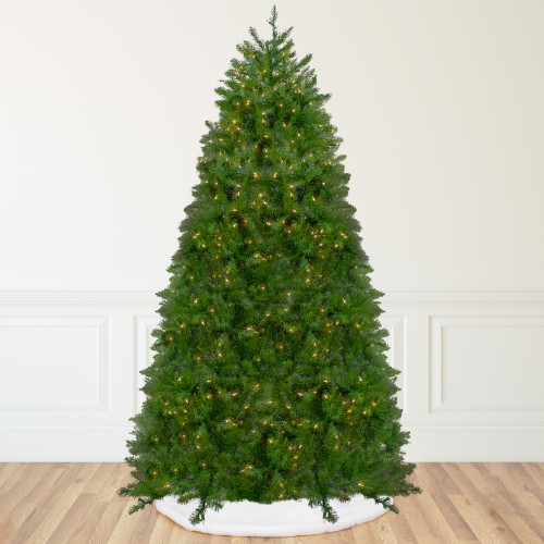 12' Pre-lit Northern Pine Full Artificial Christmas Tree - Warm Clear LED Lights - IMAGE 1