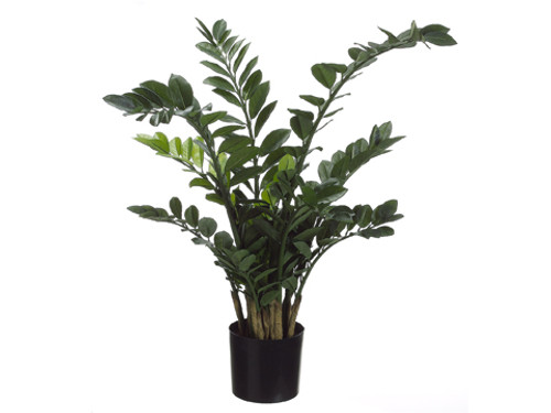 Pack of 2 Potted Artificial African Zamioculcas Silk Plants 3.5' - IMAGE 1