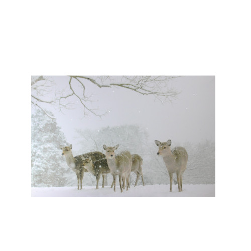 Small Fiber Optic Lighted Winter Woods with Deer Canvas Wall Art 12" x 11.75" - IMAGE 1