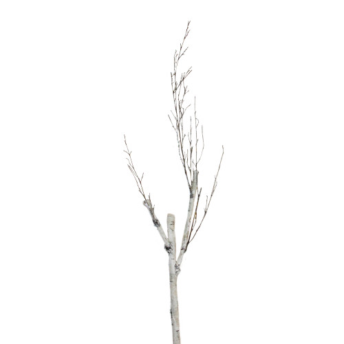 46.5" White and Brown Birch Artificial Christmas Branch Twig - IMAGE 1