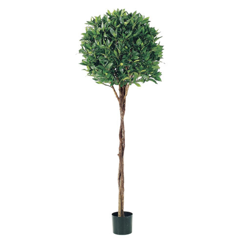 Pack of 2 Potted Artificial Bay Leaf Ball Topiaries 5' - IMAGE 1